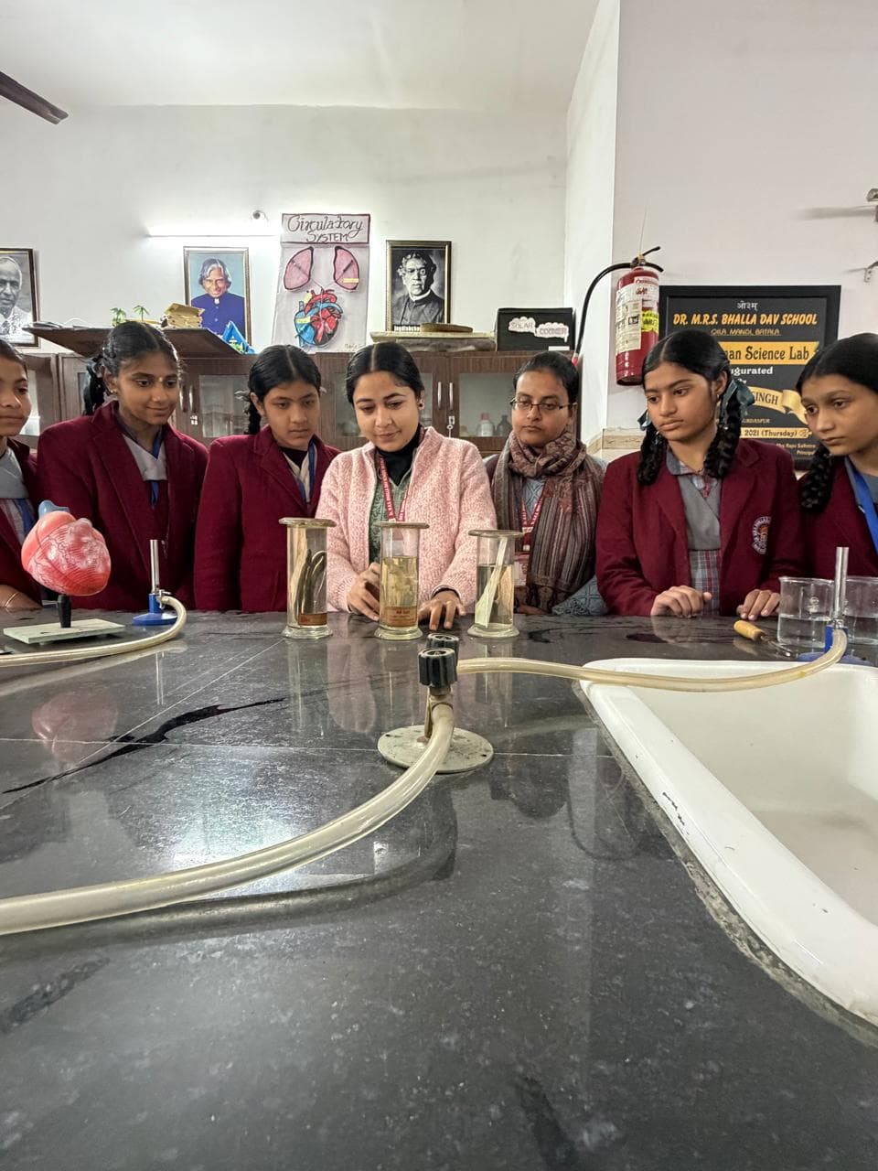 Science Activity
